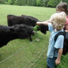 2011 Besuch im Wildgehege